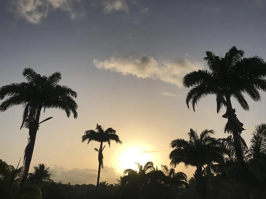 Lapayoma Apartment Sainte-Anne  Guadeloupe